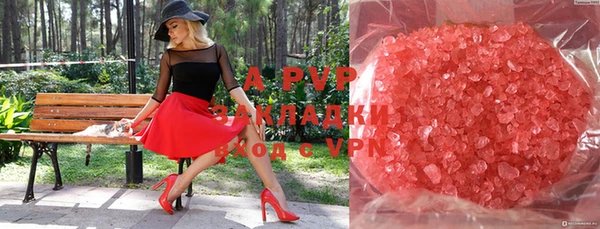 mdpv Белокуриха