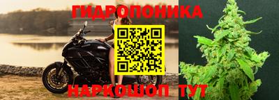 spice Пугачёв