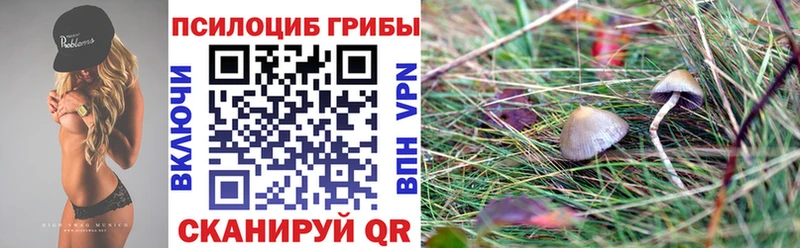 Галлюциногенные грибы Cubensis  купить наркоту  Реутов 