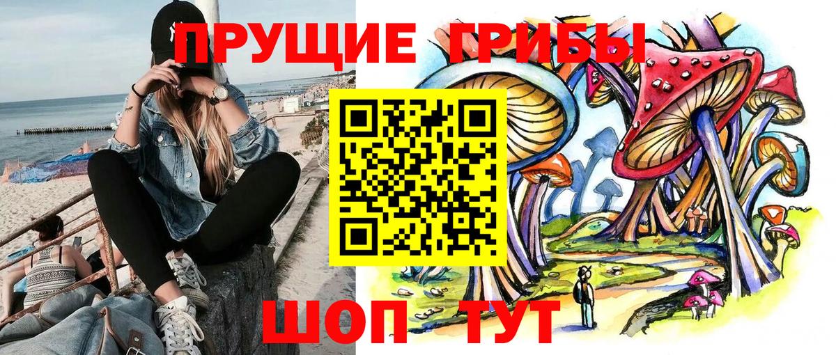 Псилоцибиновые грибы MAGIC MUSHROOMS  Вход с VPN  Реутов 