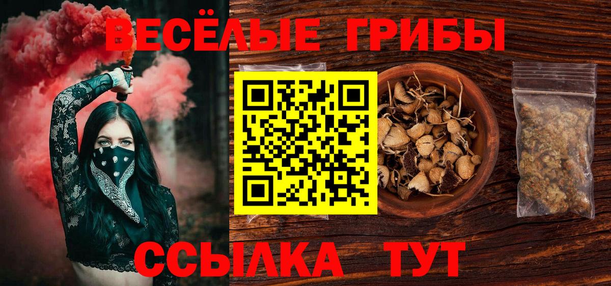 Галлюциногенные грибы мицелий Реутов